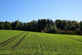 Field in Zollikon in canton ZÃÂ¼rich Royalty Free Stock Photo