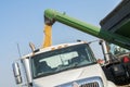 Fieldcorn harvest Royalty Free Stock Photo