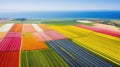 fields aerial view farm