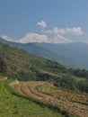 Fields and Annapurna South Royalty Free Stock Photo