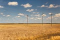 Fields of Australian agricultural landscape