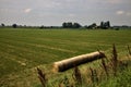 Fields with bales of hay on a summer day in the italian countryside at midday