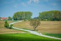 Fields of Bavaria Royalty Free Stock Photo