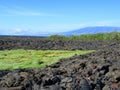 Lava fields, Punta Moreno, GalÃÆÃÂ¡pagos