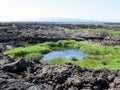 Lava fields, Punta Moreno, GalÃÂ¡pagos