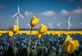 Fields of blooming tulips, a wind turbine can be seen in the background. AI genarated