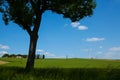 Fields with blue sky, clouds and trees in the Dachau hinterland, Bavaria, near Munich