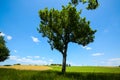 Fields with blue sky, clouds and trees in the Dachau hinterland, Bavaria, near Munich