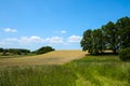 Fields with blue sky, clouds and trees in the Dachau hinterland, Bavaria, near Munich