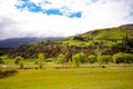 The fields of Cardrona, Otago Royalty Free Stock Photo