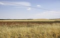 Fields of Castilla-La Mancha Royalty Free Stock Photo