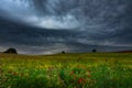 Fields of cereals under the storm Royalty Free Stock Photo