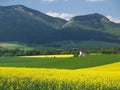 Fields and church of Saint Ladislav