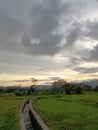 Fields clouds evening Royalty Free Stock Photo