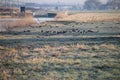 Fields in the cold in the lowest area of the Netherlands named the Zuidplaspolder in Moordrecht close to Gouda meadow train track Royalty Free Stock Photo