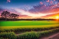 Fields of Color. Royalty Free Stock Photo