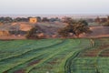 Fields at Dahla oasis Royalty Free Stock Photo