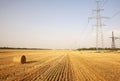 Fields of dry ripe wheat on the background of metal pylons of electric wires