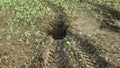 Erosion damage field subsoil hole pit soil inappropriately managed earth land degradation field. Intensive agriculture Royalty Free Stock Photo