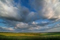 Summer time fields and evening sky with clouds Royalty Free Stock Photo