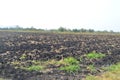 Farms growing agricultural crops.