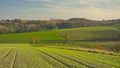 Fields and forests of Flemish ardennes on a sunny autumn day Royalty Free Stock Photo