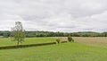 Fields and forests in the Wallonian countryside