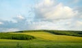 Fields of Green Royalty Free Stock Photo