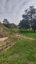 Fields of green hills in nature in southwest Israel on a cloudy day Royalty Free Stock Photo