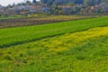 Fields in Hanadiv valley, Givat Ada Israel Royalty Free Stock Photo