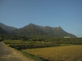 Fields in Japanese countryside