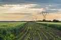 Fields landscape