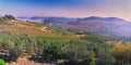 Fields and landscape of Tuscany Royalty Free Stock Photo