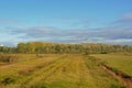 Fields in the marsh with autumn trees in the background on a suny day Royalty Free Stock Photo