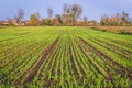 Fields in Masovia region, near Brochow village, Poland Royalty Free Stock Photo