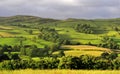 Fields and Meadows, Cumbria