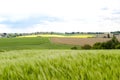 Grain Fields, fields, small village fare away in background Royalty Free Stock Photo