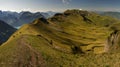 Fields and meadows in Swiss Alp