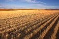 The fields of Montana after harvesting Royalty Free Stock Photo