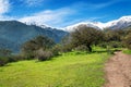 Fields and mountains Royalty Free Stock Photo