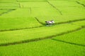 Fields in Nan, Thailand Royalty Free Stock Photo