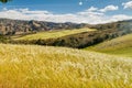 Fields near Cuicocha lake in Ecuad Royalty Free Stock Photo