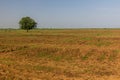 Fields near river Omo near Omorate village, Ethiop