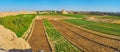 The fields in old Kashan, Iran