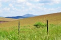 Fields of plantations and mountains of Minas Gerais