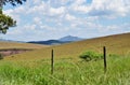 The beauty of the fields of plantations and mountains of Minas Gerais