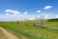 fields planted with agricultural products and natural nature scenery