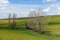 fields planted with agricultural products and natural nature scenery