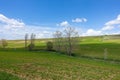 fields planted with agricultural products and natural nature scenery