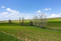 fields planted with agricultural products and natural nature scenery